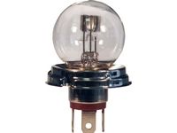 žárovka AUTOLAMP 24V 55/50W P45t